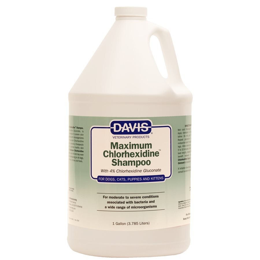 DAVIS MAXIMUM CHLORHEXIDINE SHAMPOO 1 GALLON. GMS PET SUPPLIES